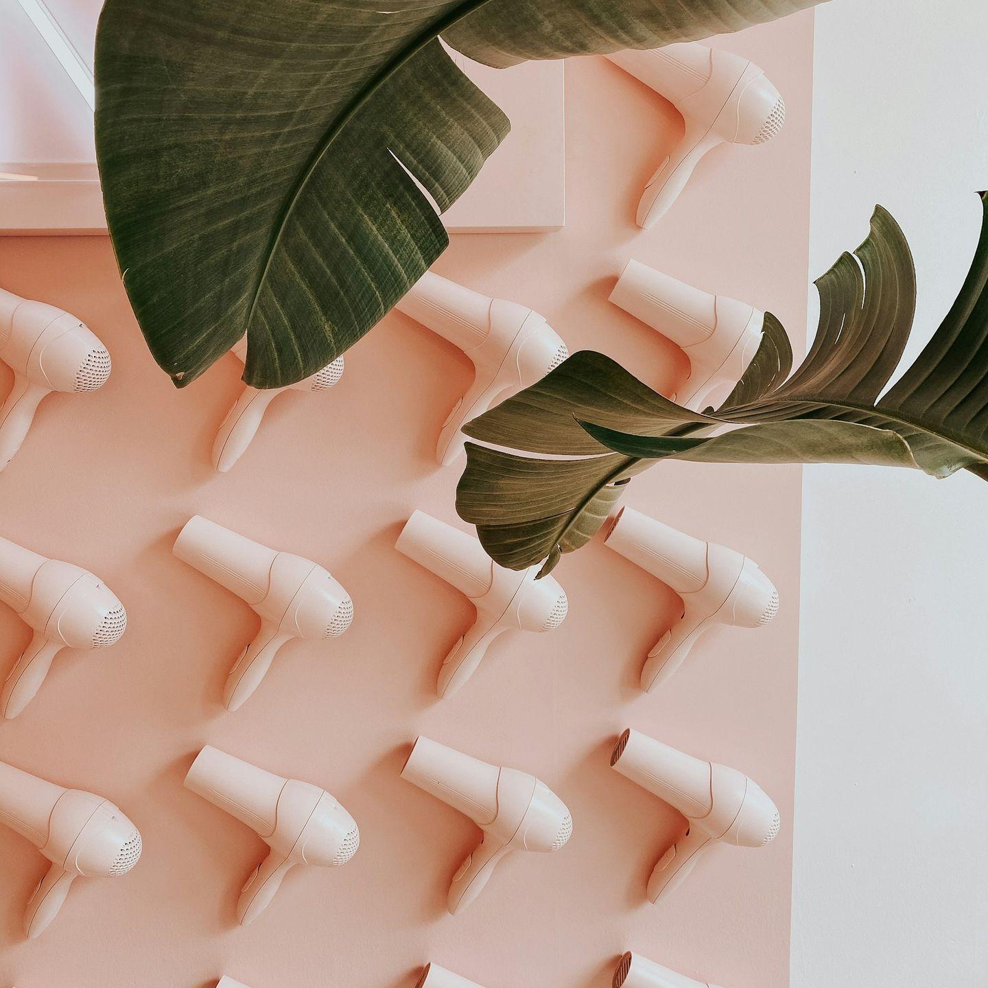 green leaves on white surface